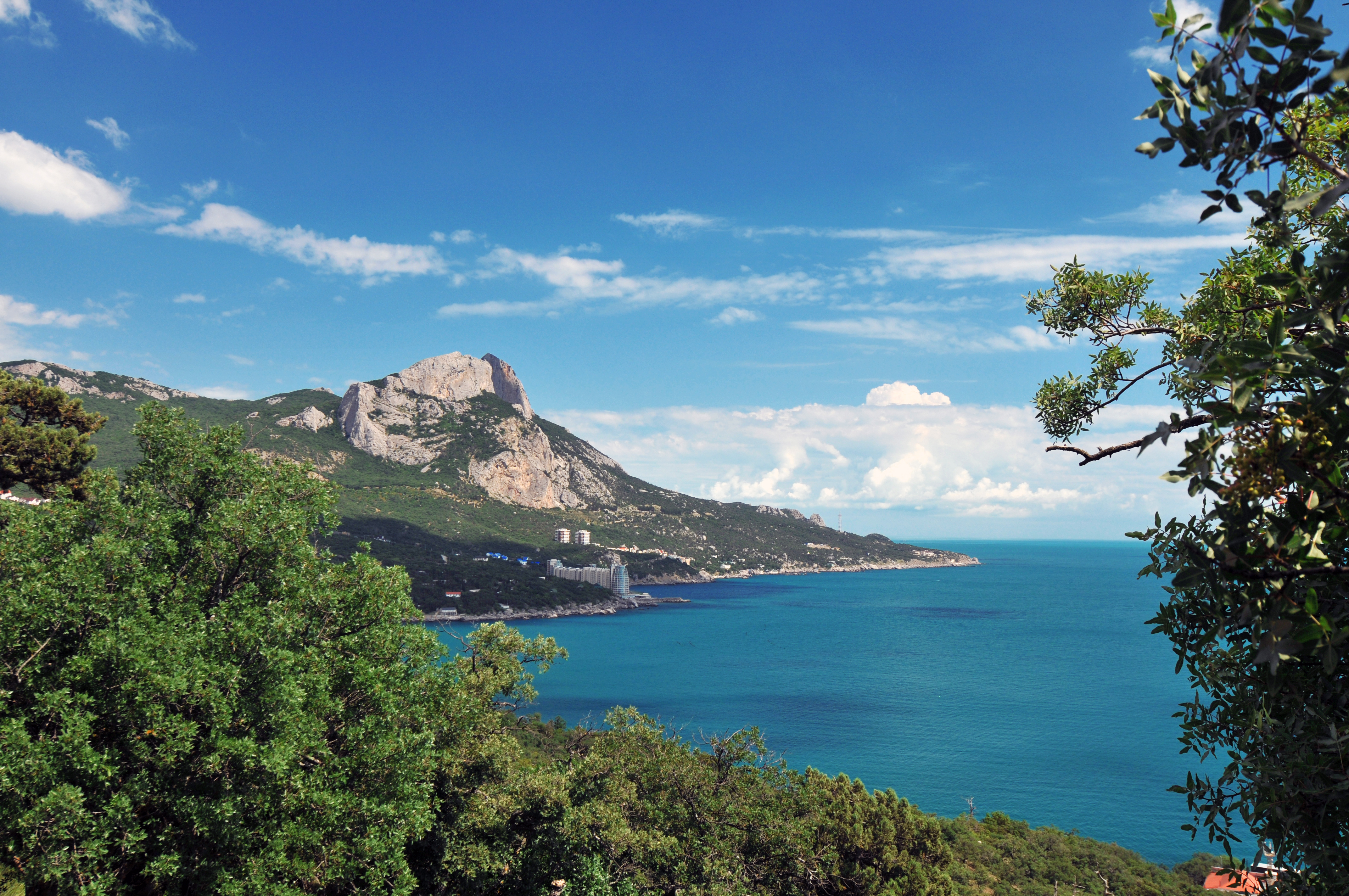 Декоративное изображение