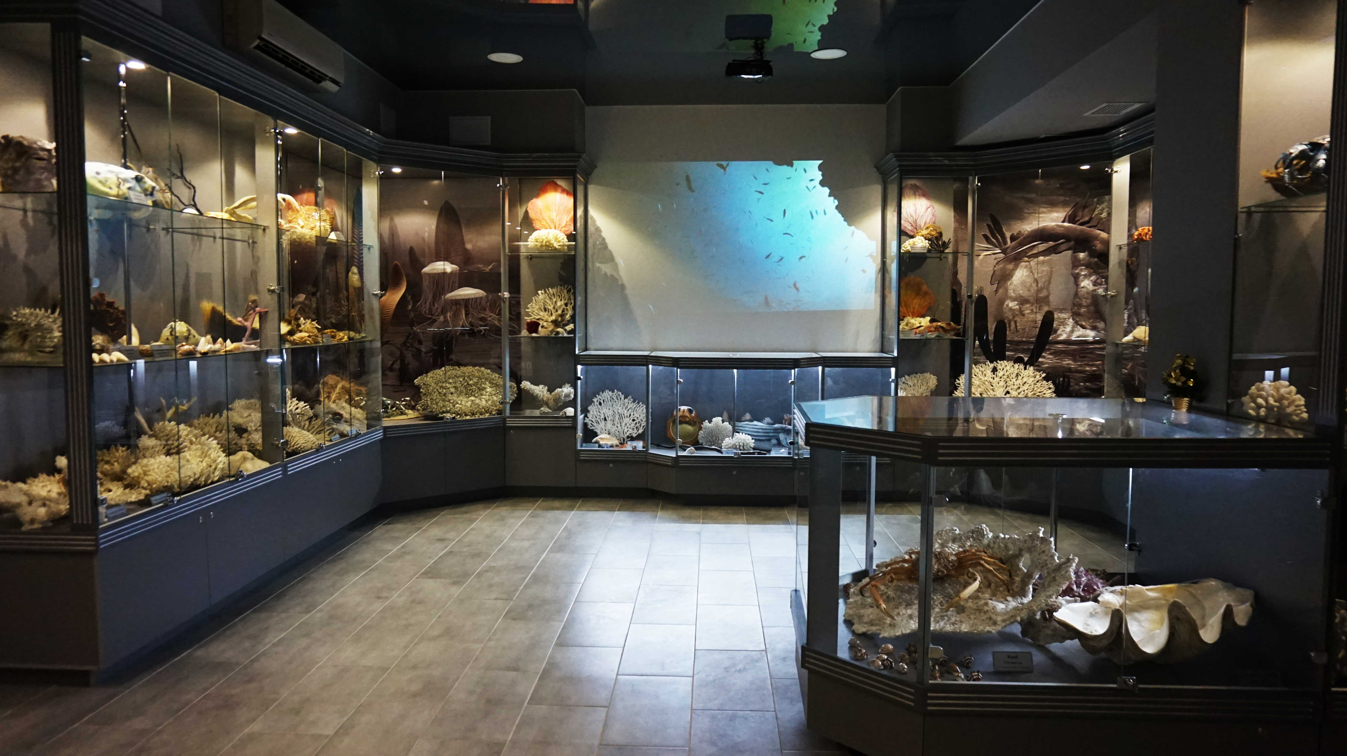 Декоративное изображение