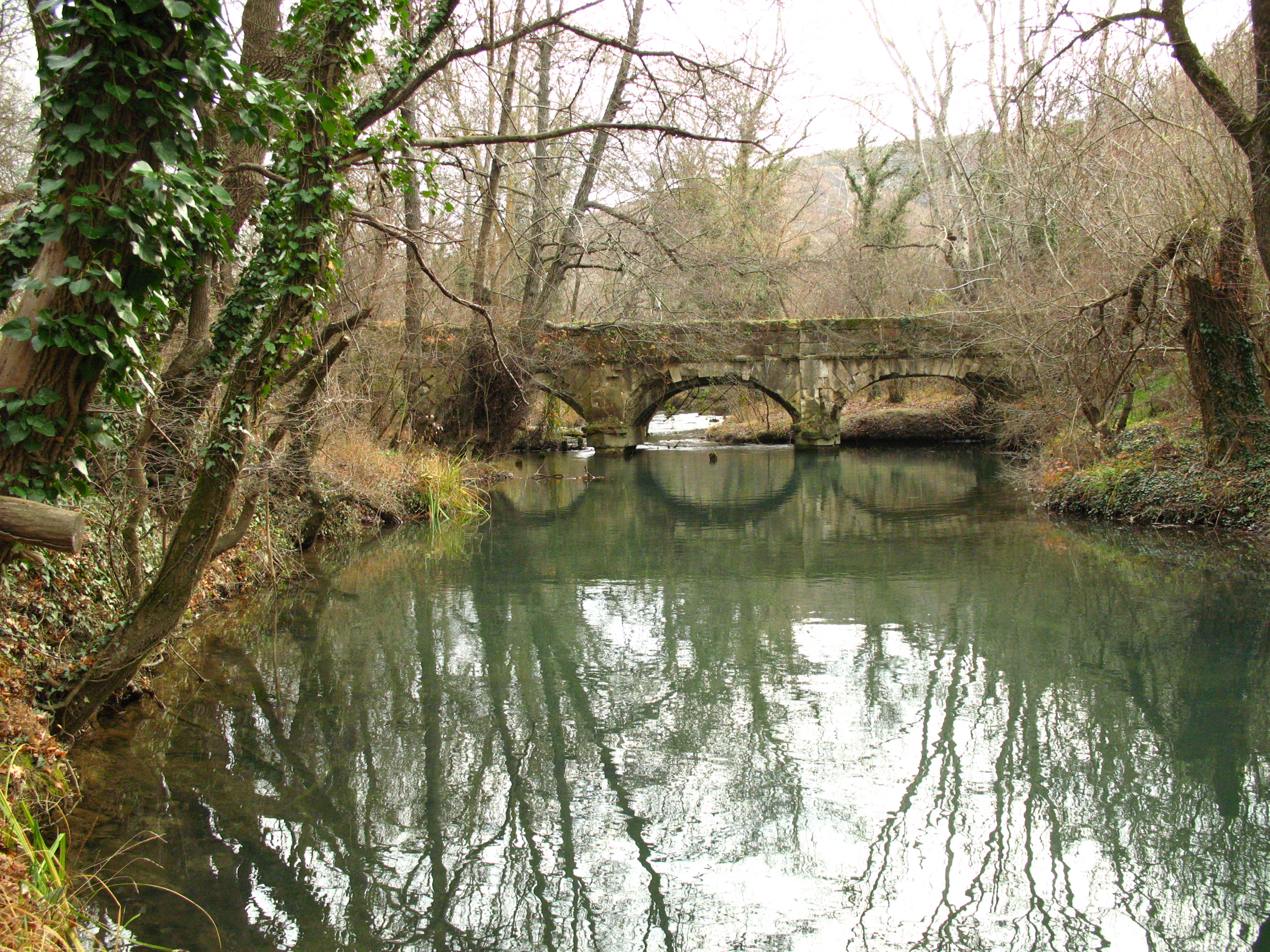 Декоративное изображение