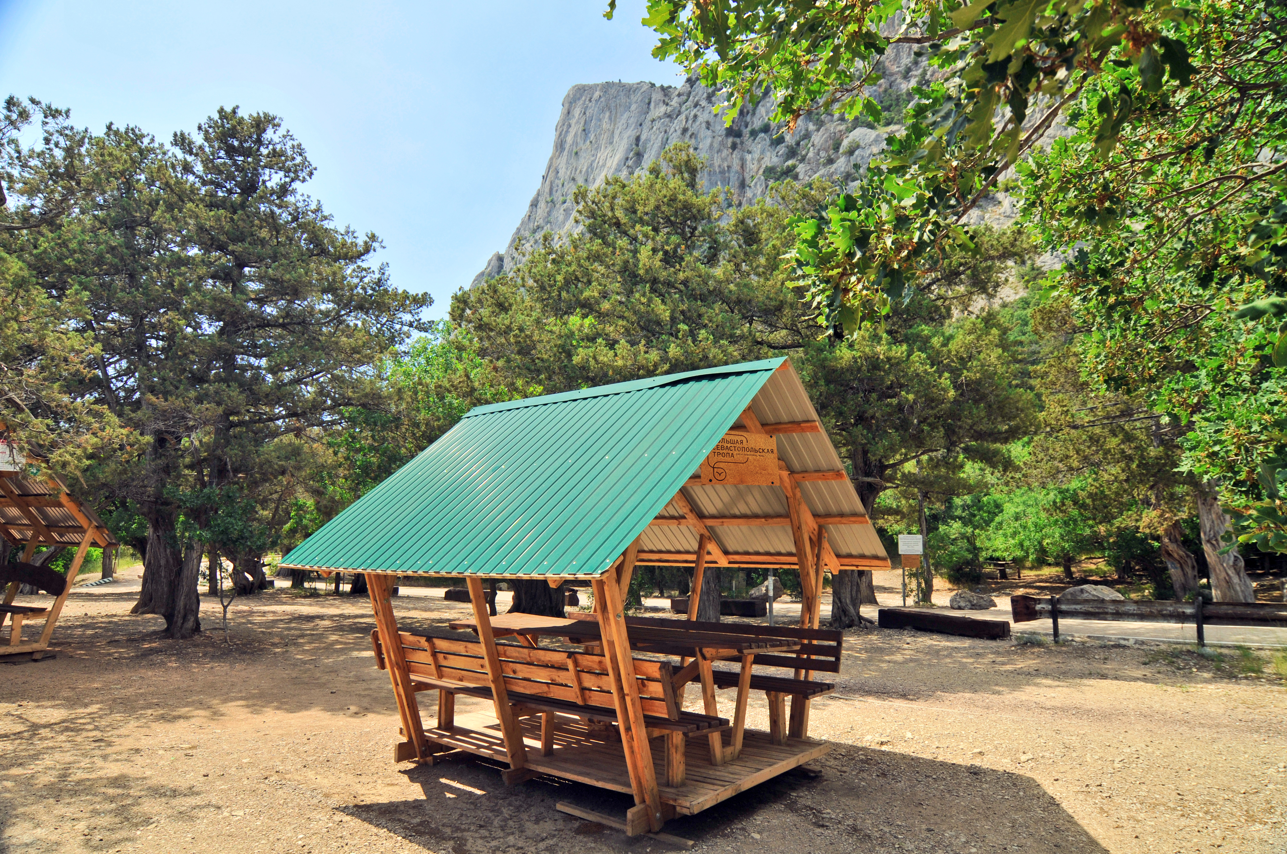 Декоративное изображение