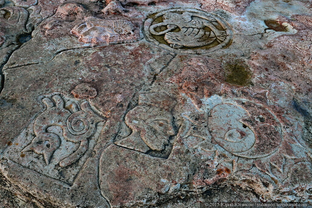 Декоративное изображение