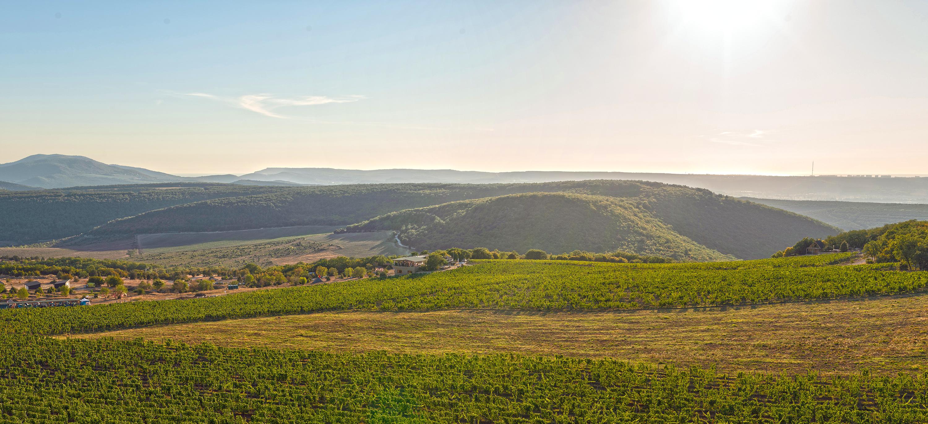 Декоративное изображение