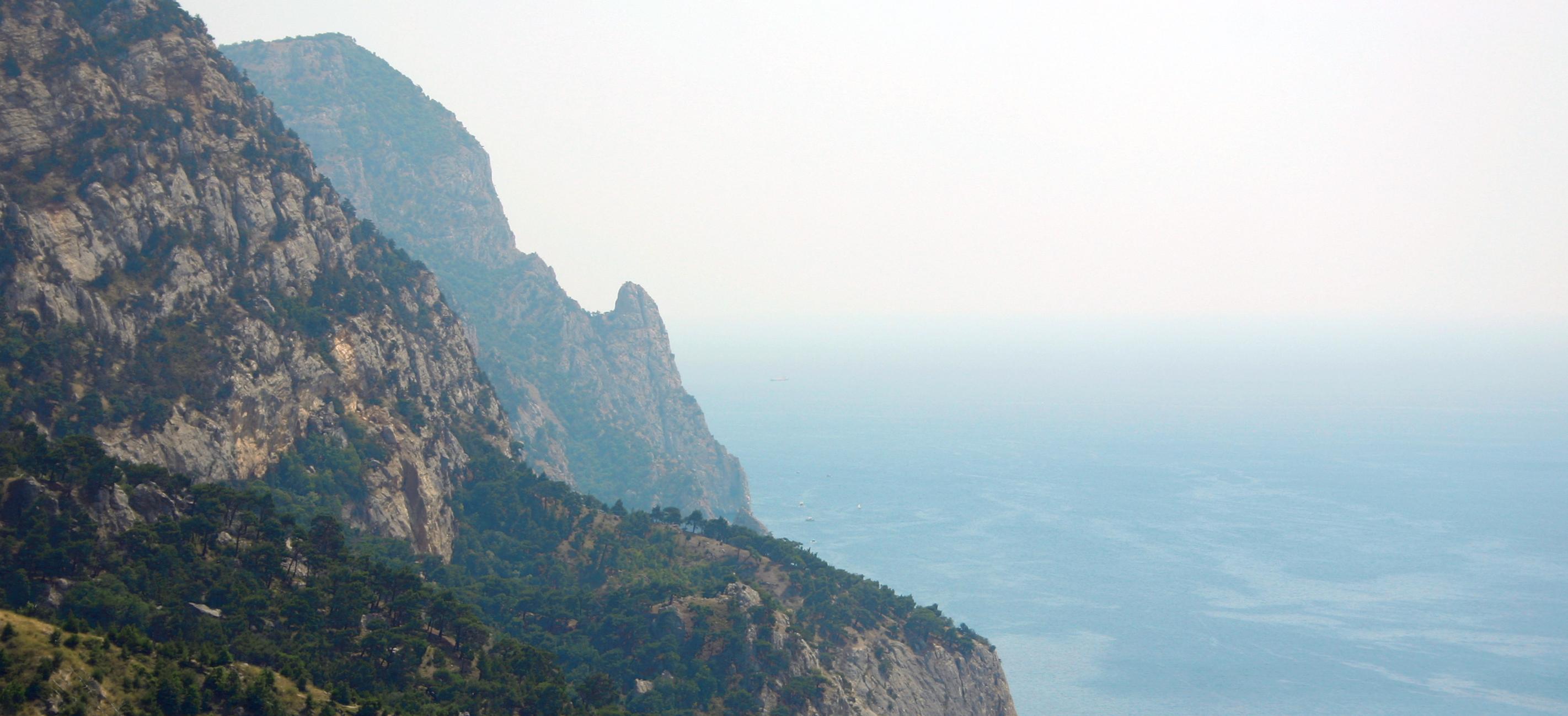 Декоративное изображение