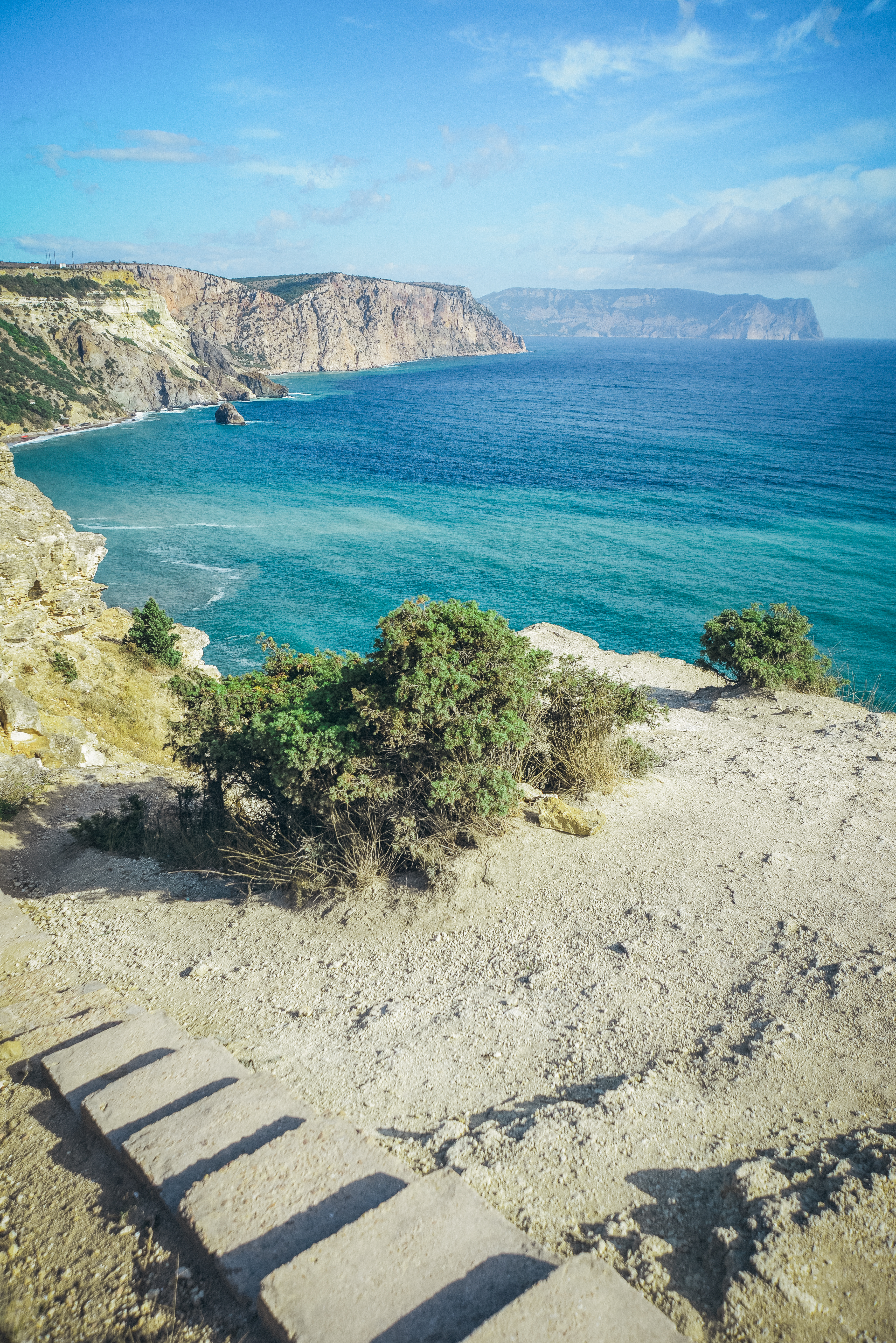 Декоративное изображение