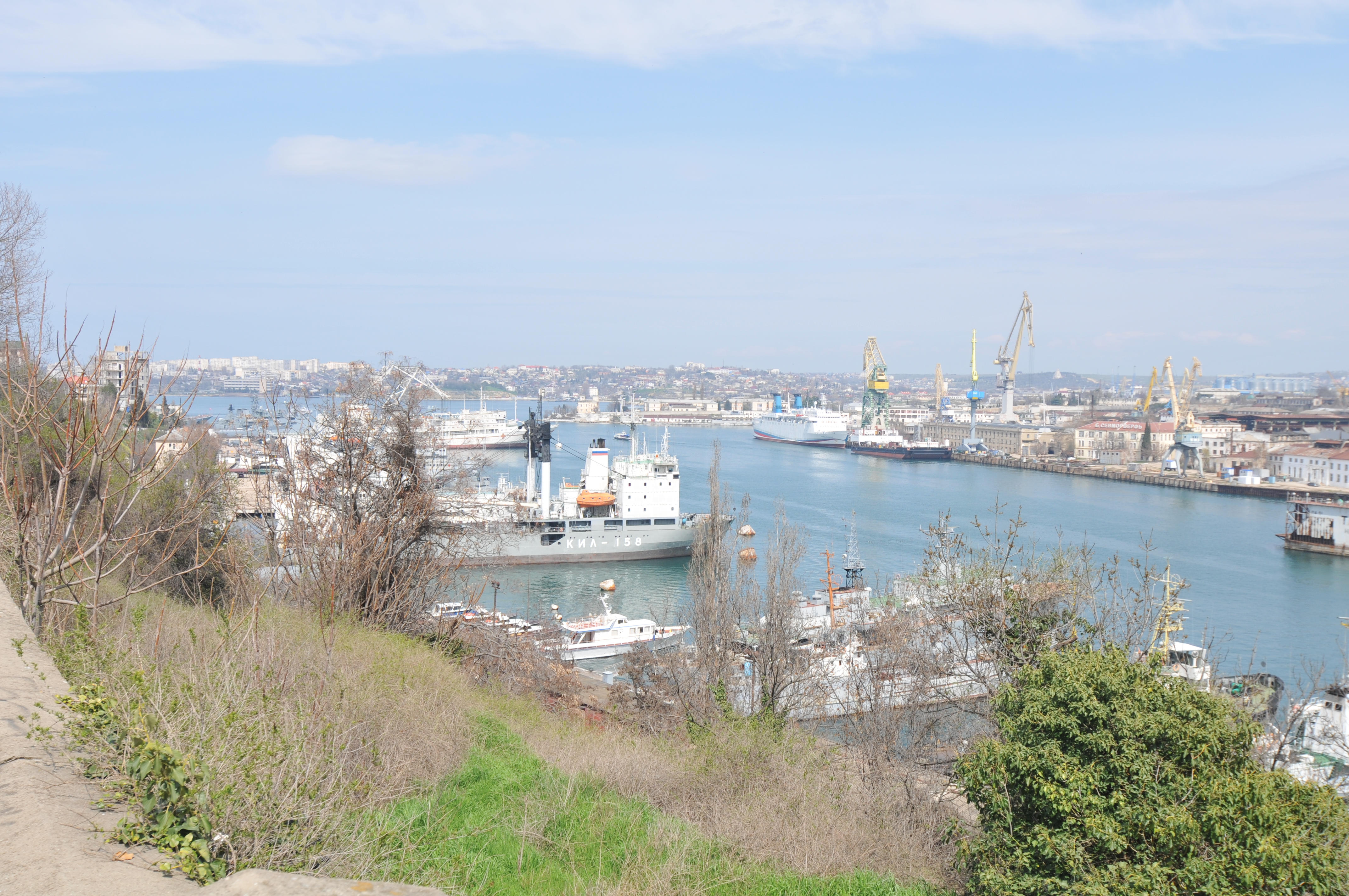 Декоративное изображение