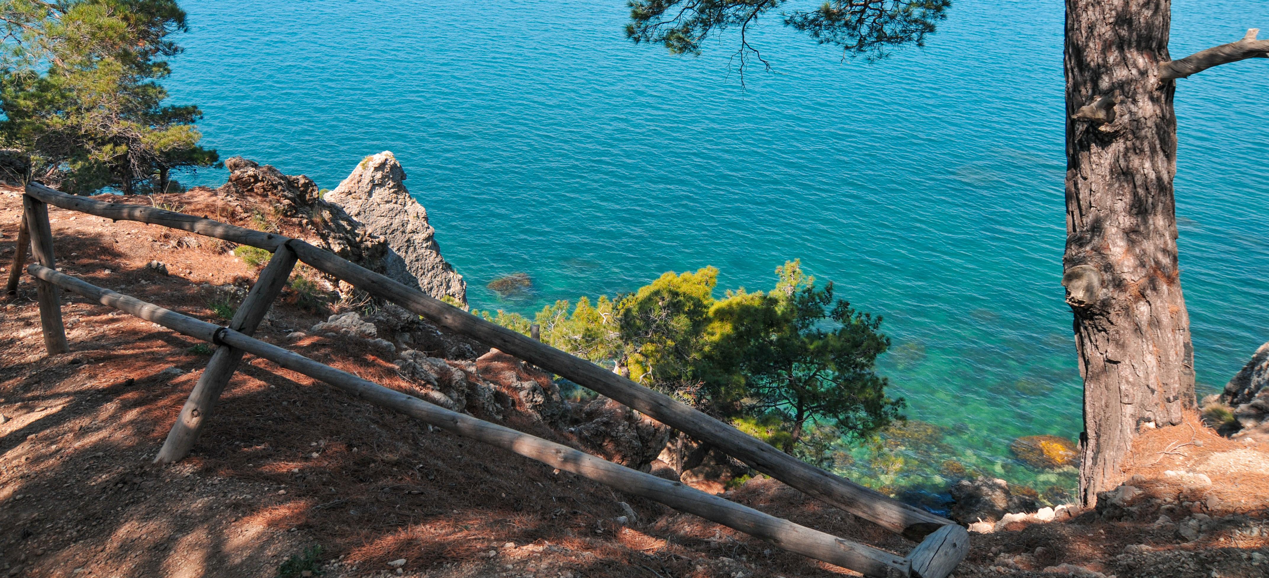 Декоративное изображение