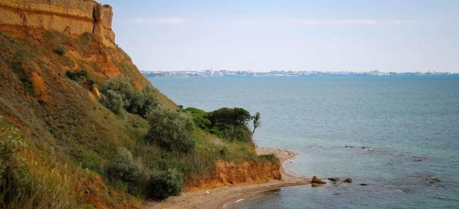 Декоративное изображение