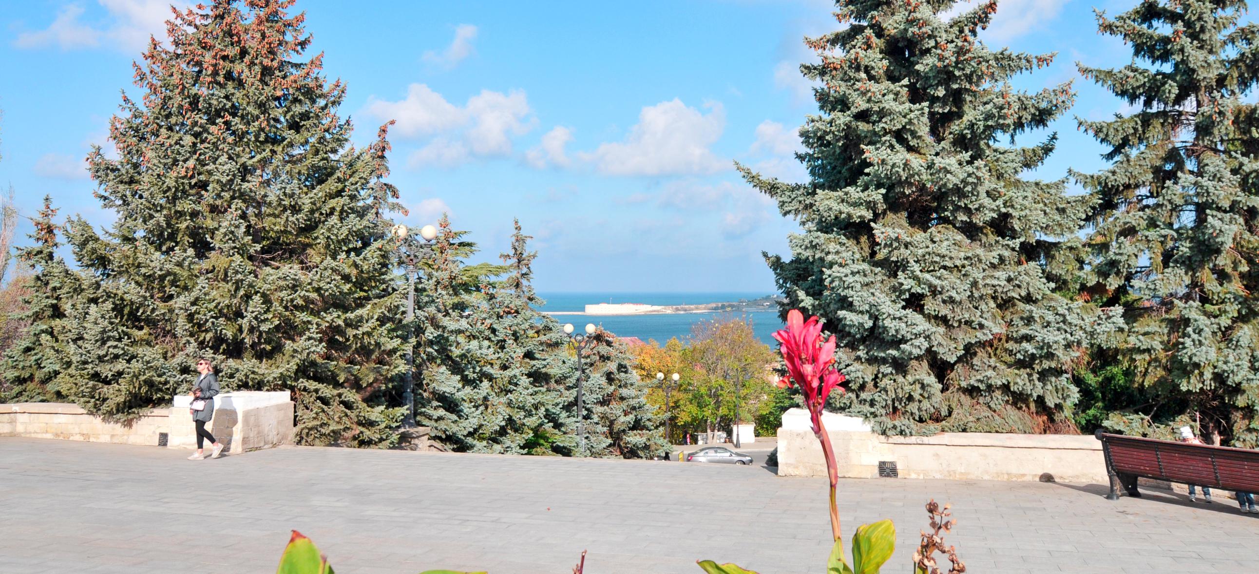 Декоративное изображение