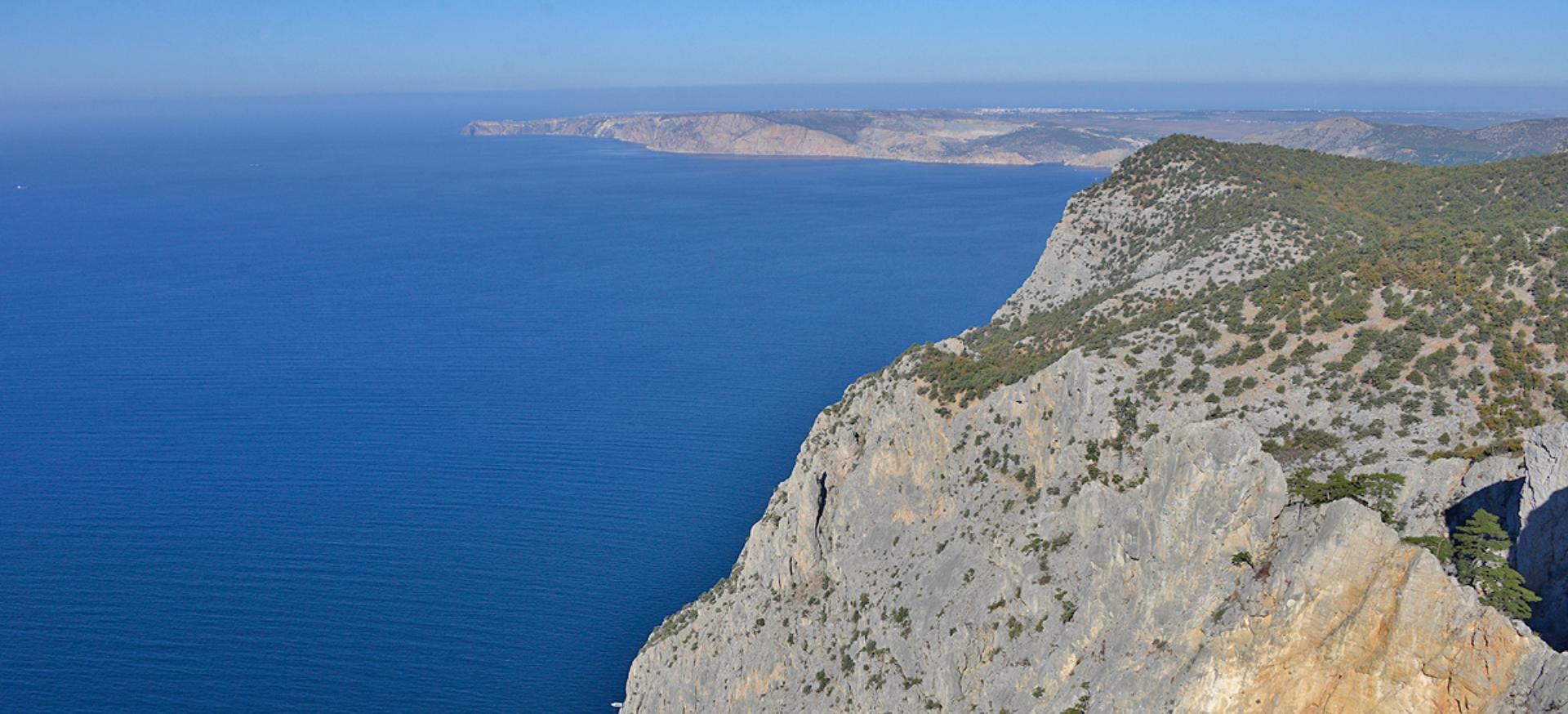 Декоративное изображение