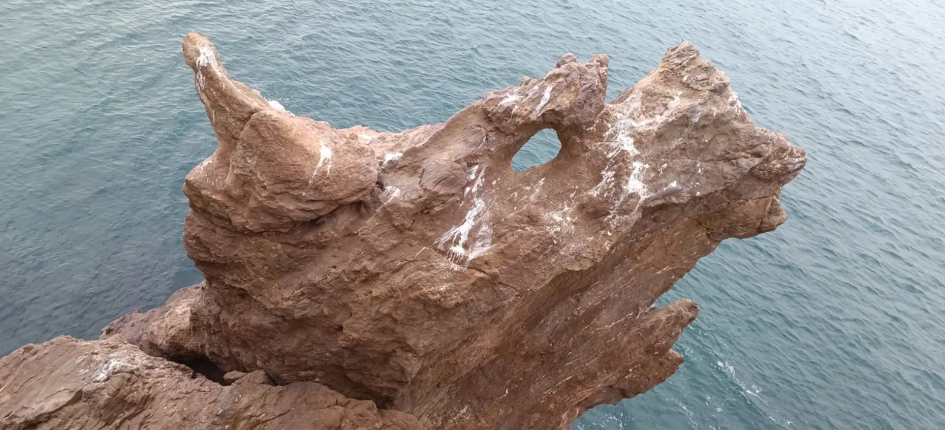 Декоративное изображение