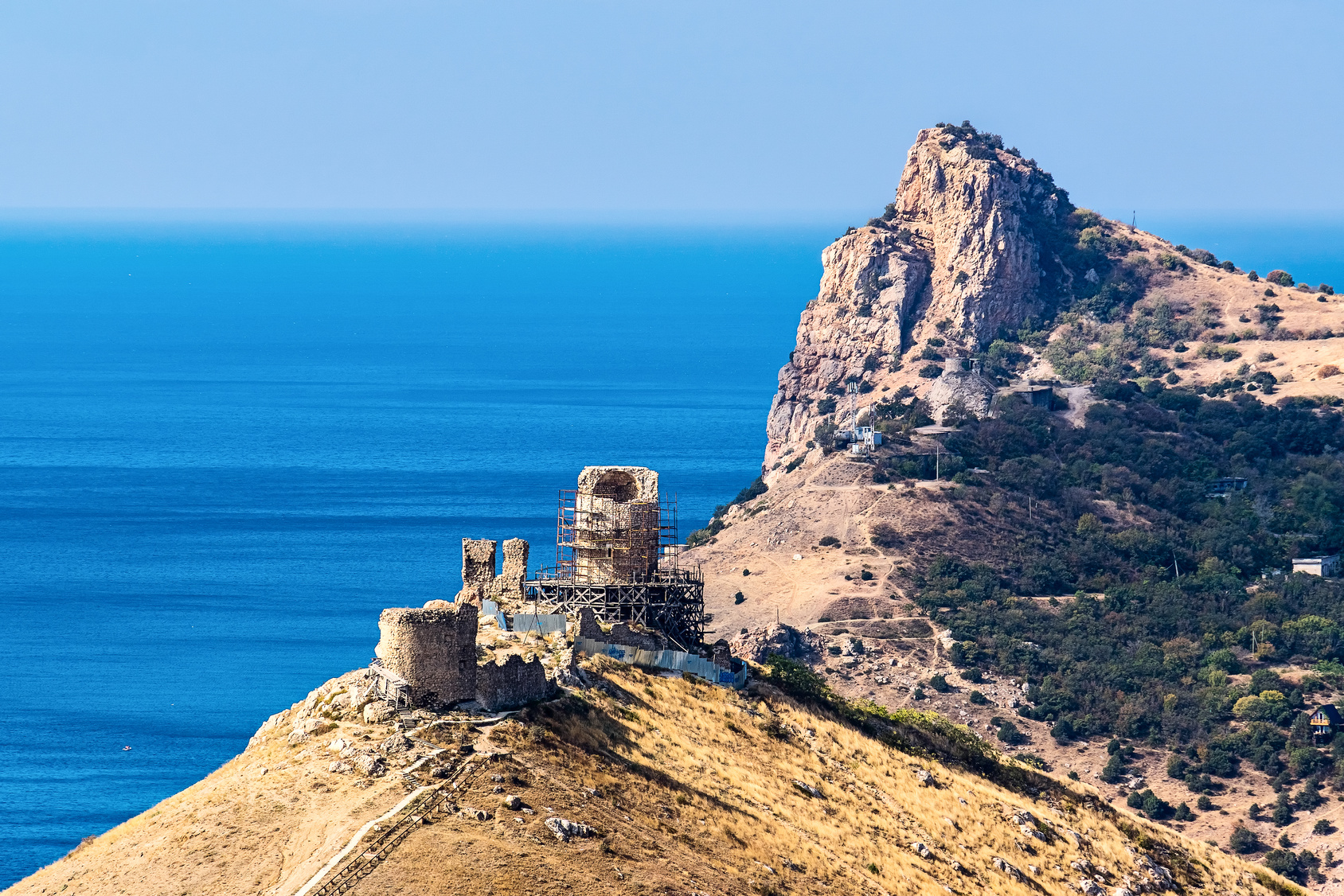 Декоративное изображение