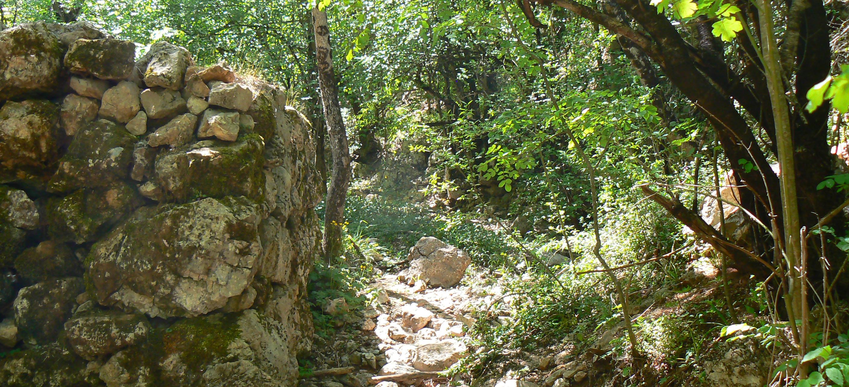 Декоративное изображение