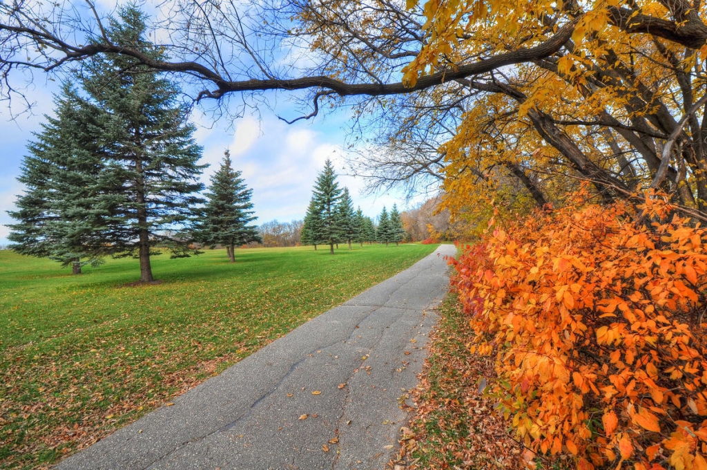 Осень на дворе