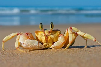 Летний отдых