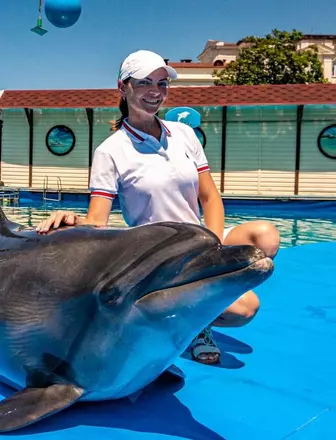  Шоу морских животных