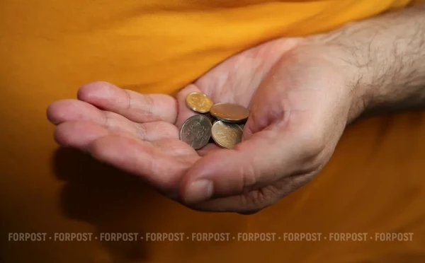 Зачем малоимущих россиян хотят проверить на бедность