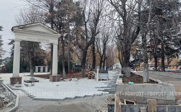 Рабочие по незнанию могут уничтожить старинные кедры под окнами крымского парламента