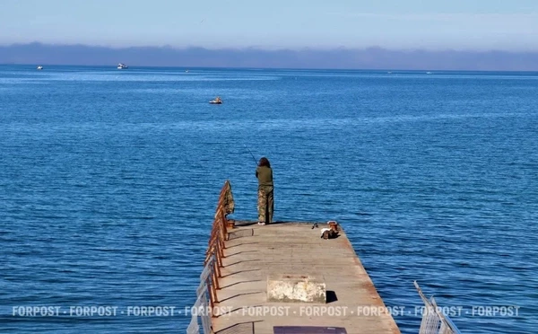 В Севастополе на причале поймали браконьеров с тонной кефали