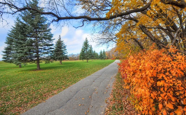 Севастополь оделся в золото