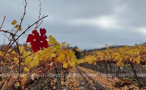 На Крым надвигается шторм с грозой и сильным ветром