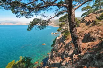 Изображение «Туристическая стоянка «Аязьма» («Урочище Инжир»)»