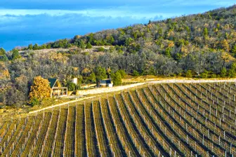 Изображение «Винодельческое хозяйство Усадьба Мангуп»
