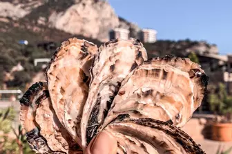 Изображение «Устричная ферма Бухта Ласпи»