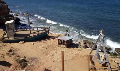 Баркас «Витёк» 