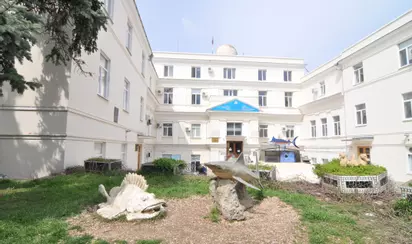 Институт биологии южных морей