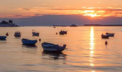 Аполлоновка (Аполлонова бухта)