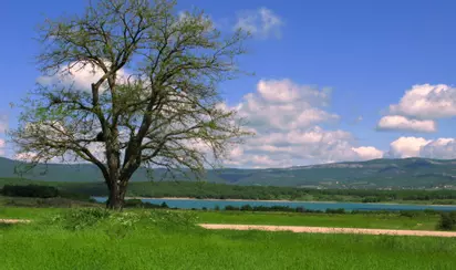 Средневековые поселения