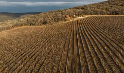 Винодельческое хозяйство Усадьба Мангуп