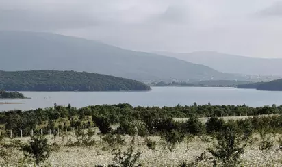 Байдарская долина