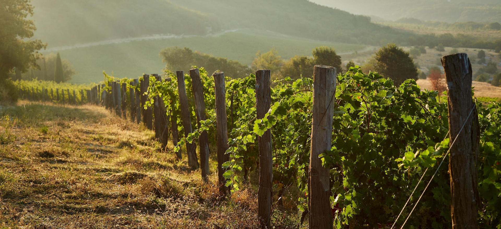 Винодельческое хозяйство UPPA Winery