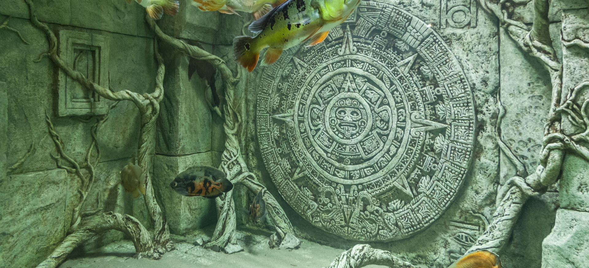 Севастопольский морской Аквариум-музей