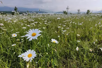 Байдарская долина
