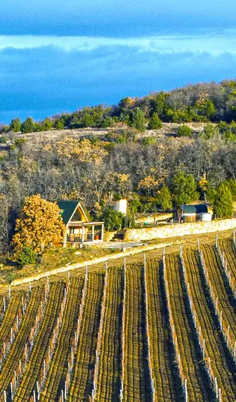 Авторское виноделие Севастополя